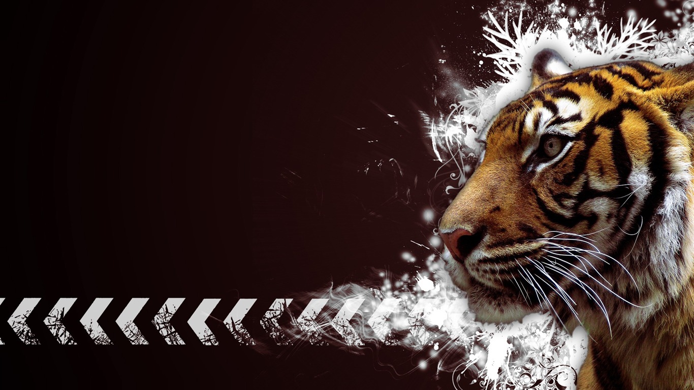 Cool non-mainstream wallpaper (2) #19 - 1366x768
