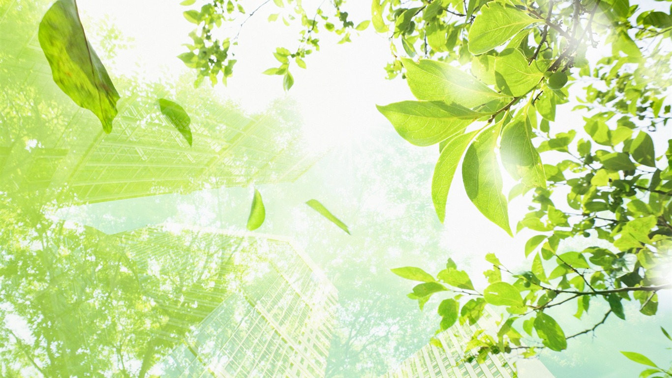 Green environmental topics PS Wallpaper #7 - 1366x768