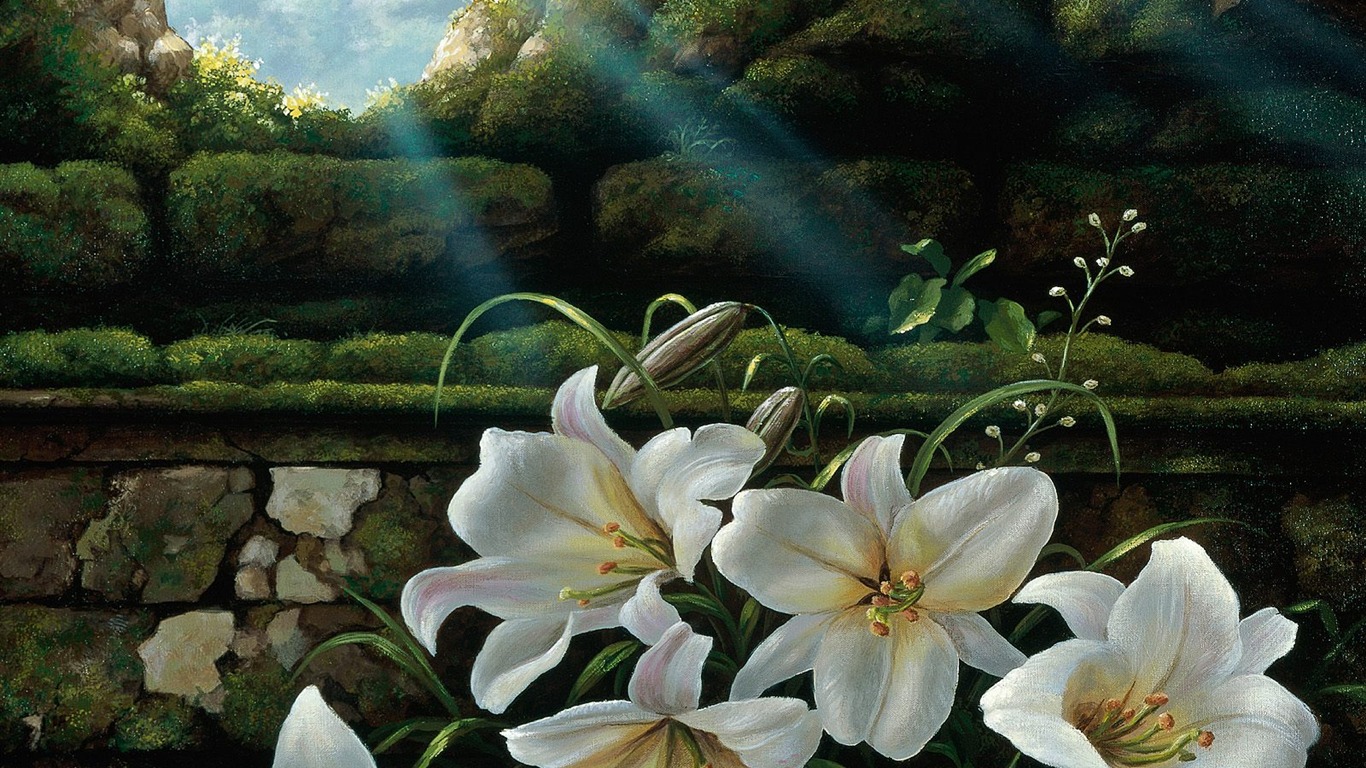 鮮花特寫(五) #10 - 1366x768