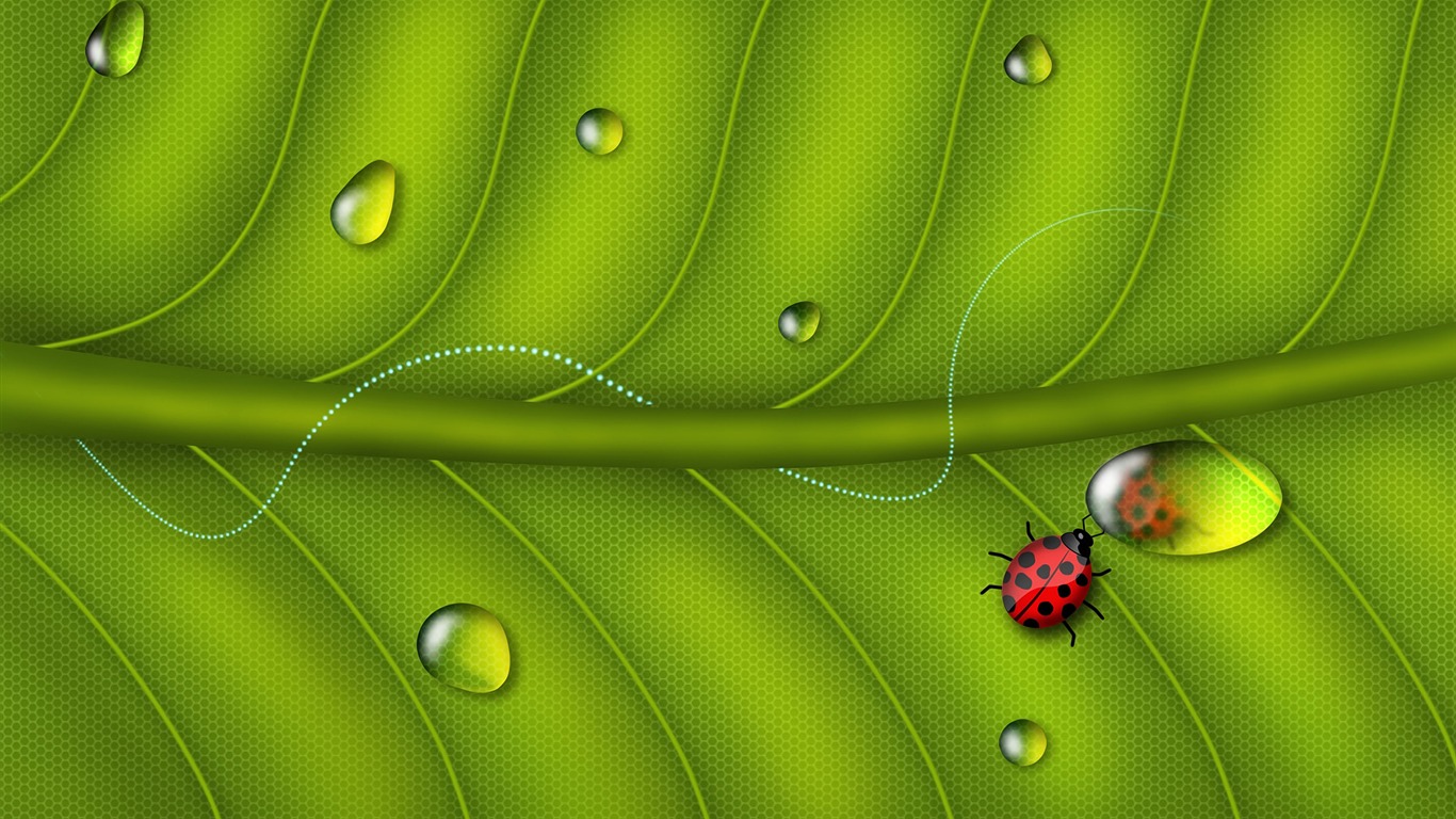 寬屏高清植物壁紙 #14 - 1366x768