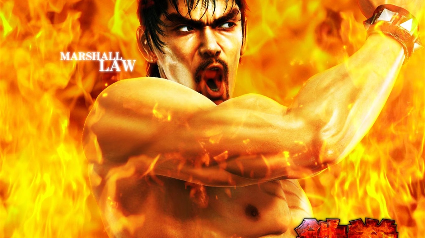 Tekken wallpaper album (3) #18 - 1366x768