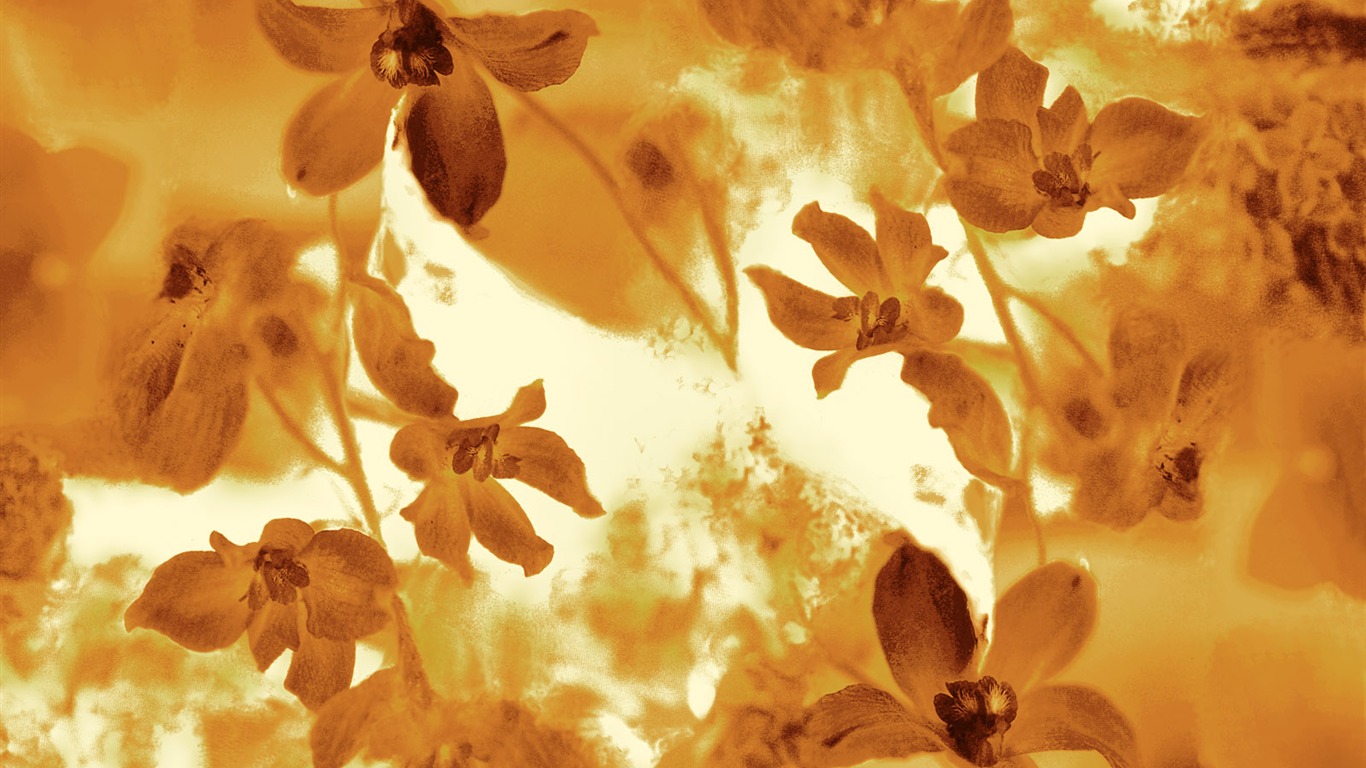 절묘한 잉크 꽃 배경 화면 #15 - 1366x768