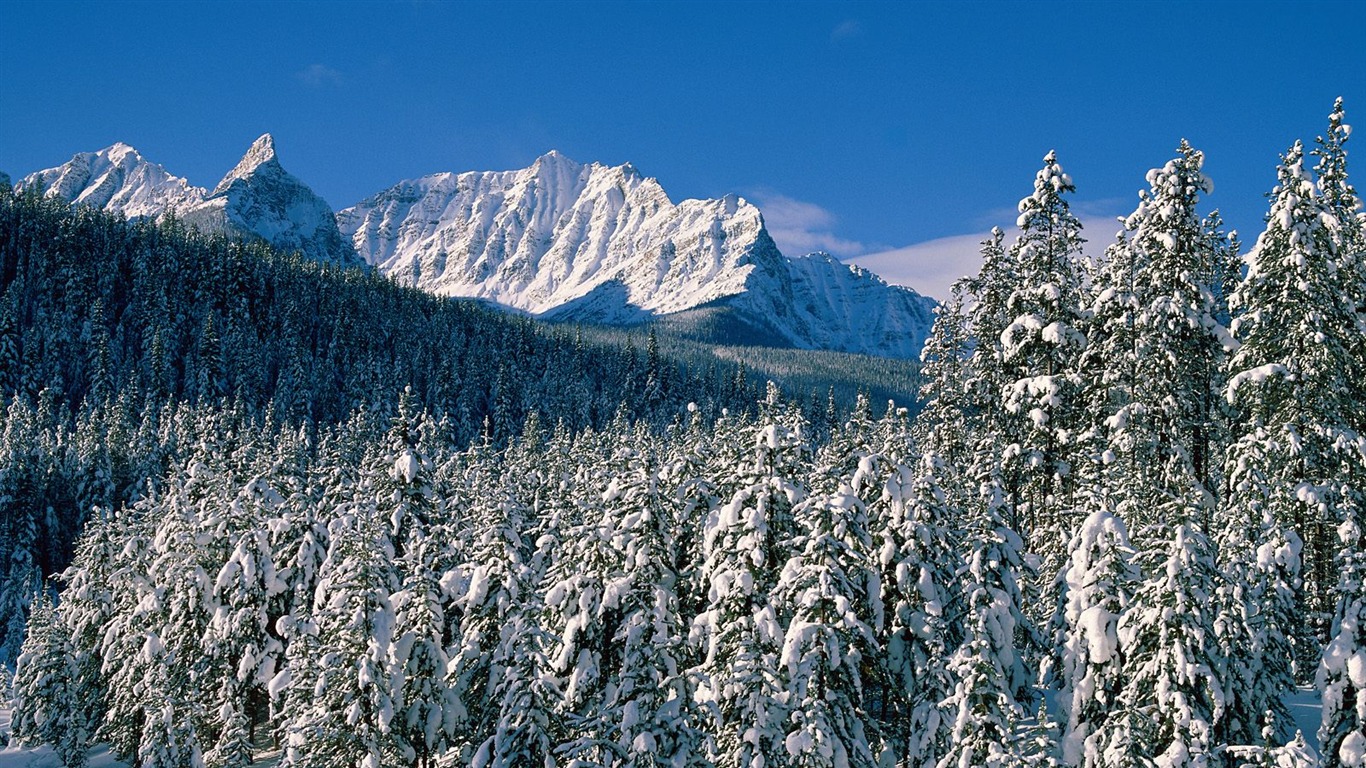 Beautiful natural scenery Wallpaper #16 - 1366x768