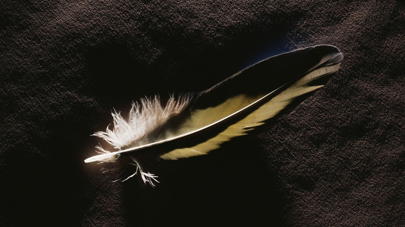 Millennium biological Wallpaper Album (2) #11 - 1366x768