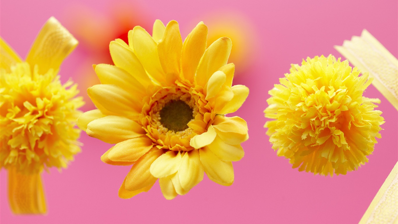 Květiny Dárky HD Tapety na plochu (2) #15 - 1366x768