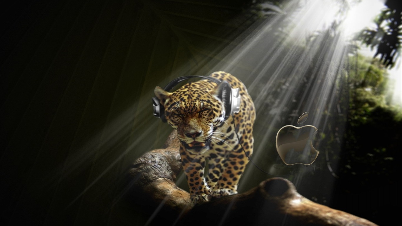Cool non-mainstream wallpaper (4) #24 - 1366x768