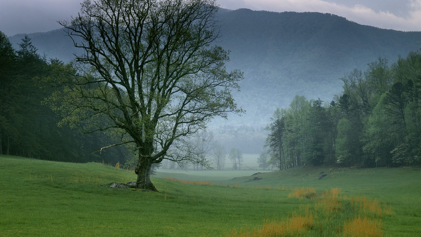 Webshots Krajina Tapety na plochu (5) #13 - 1366x768