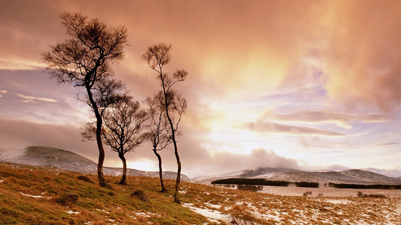 fonds d'écran un beau paysage naturel (1) #3 - 1366x768