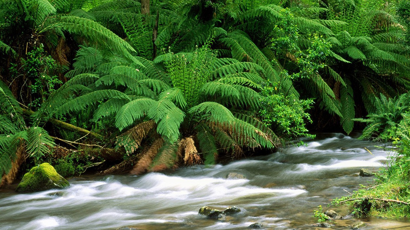 fonds d'écran un beau paysage naturel (1) #9 - 1366x768