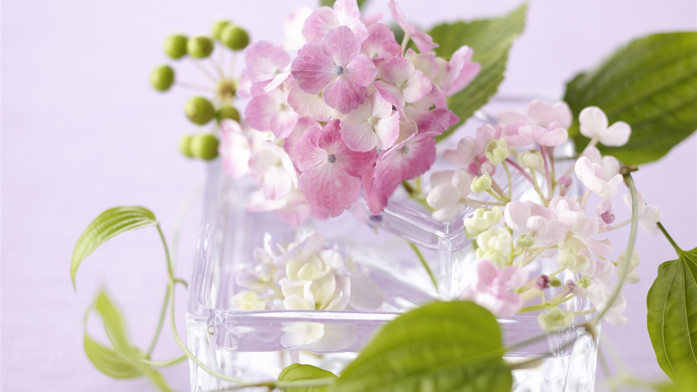 Flowers Gifts HD Wallpapers (4) #20 - 1366x768