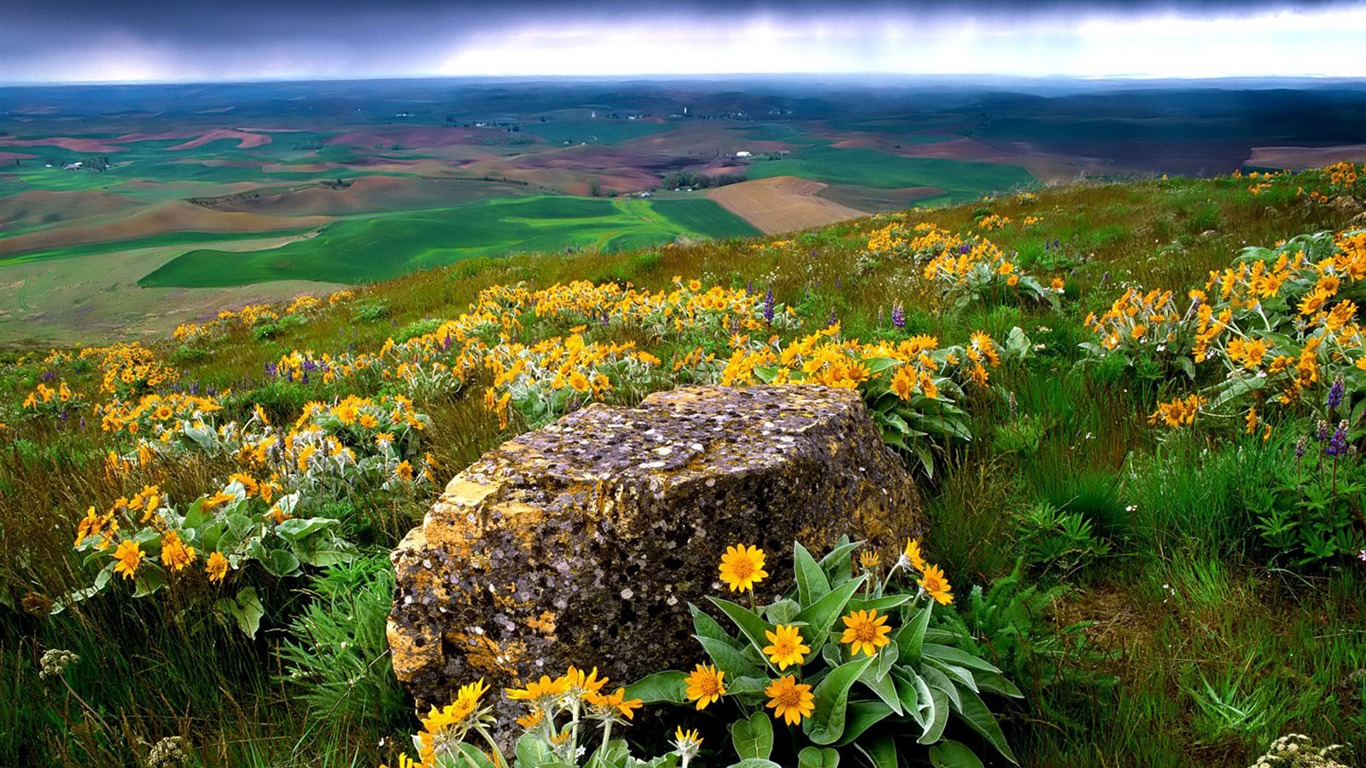 fonds d'écran un beau paysage naturel (2) #16 - 1366x768