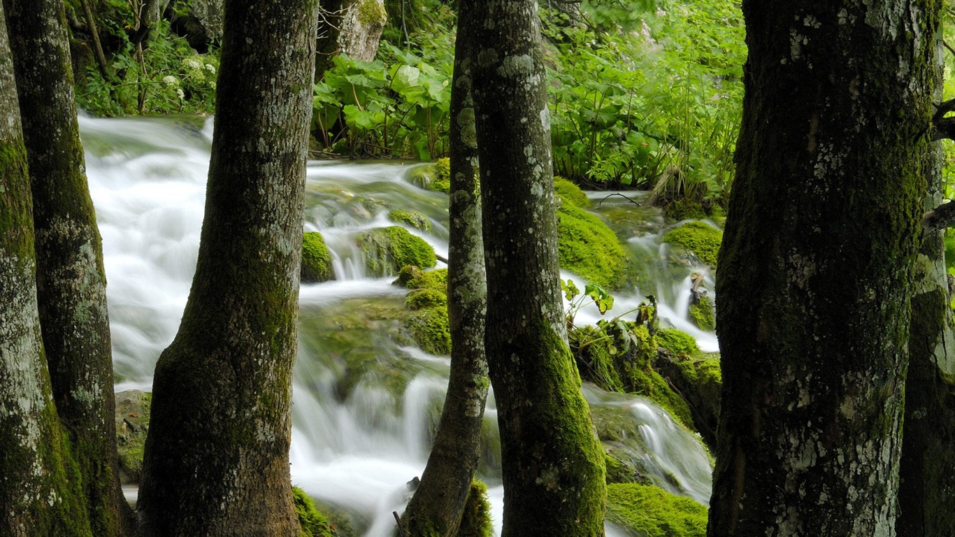 Webshots Krajina Tapety na plochu (6) #31 - 1366x768