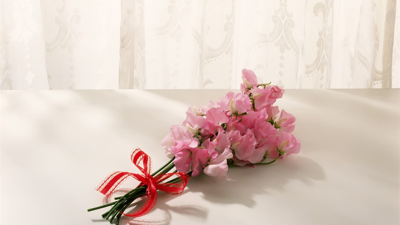 Vnitřní Still Life Wallpaper Album (1) #6 - 1366x768