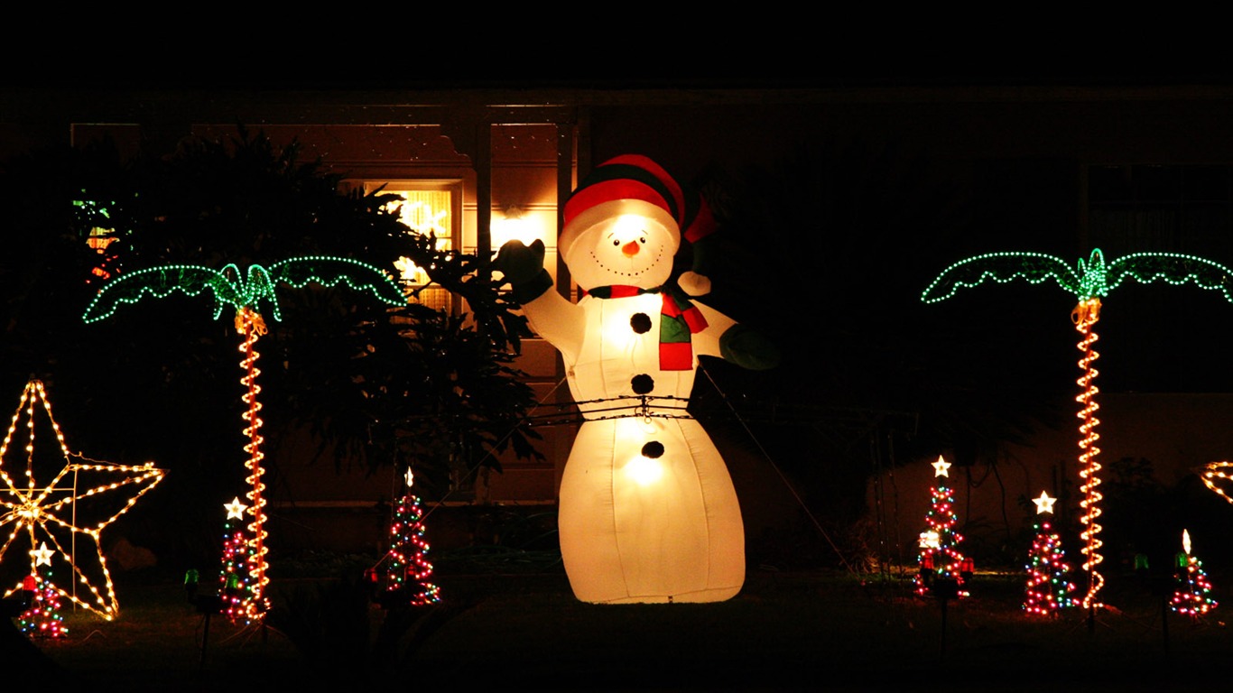 jardinería Navidad fondos de escritorio de la serie (18) #3 - 1366x768