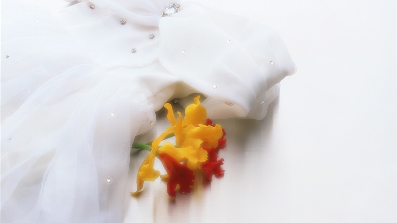 婚慶鮮花物品壁紙(一) #13 - 1366x768