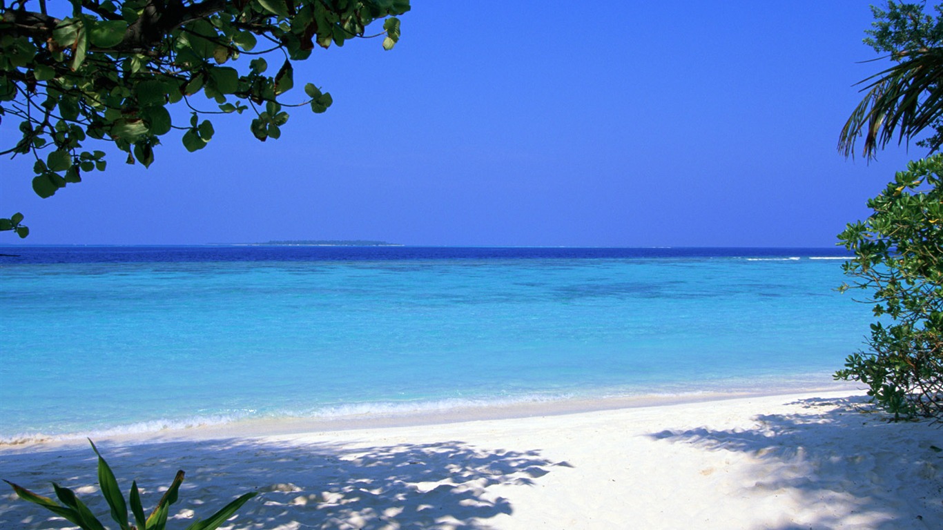 Beach alba Krajina wallpaper #25 - 1366x768