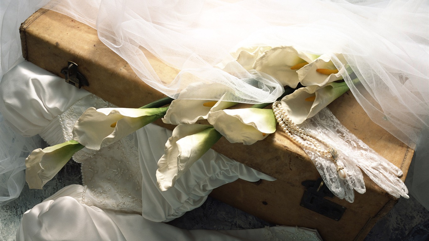 婚慶鮮花物品壁紙(二) #12 - 1366x768