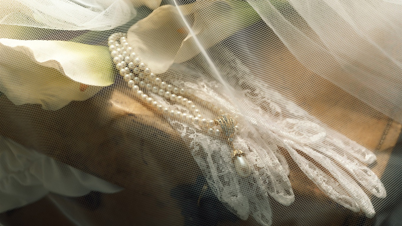 婚慶鮮花物品壁紙(二) #13 - 1366x768