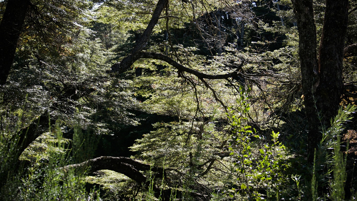 Patagonia 自然風光壁紙 #8 - 1366x768
