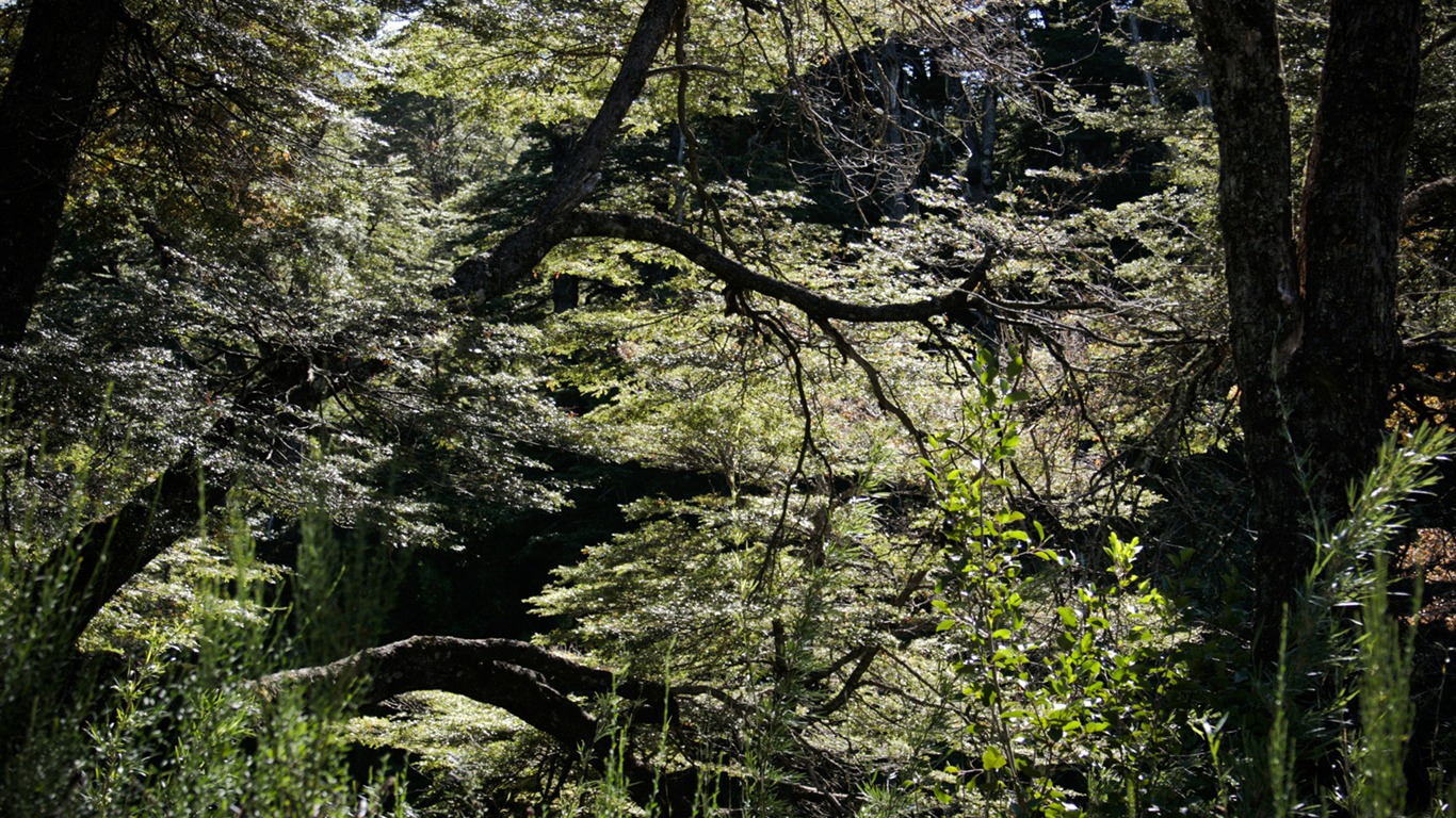 Patagonia 自然风光壁纸8 - 1366x768