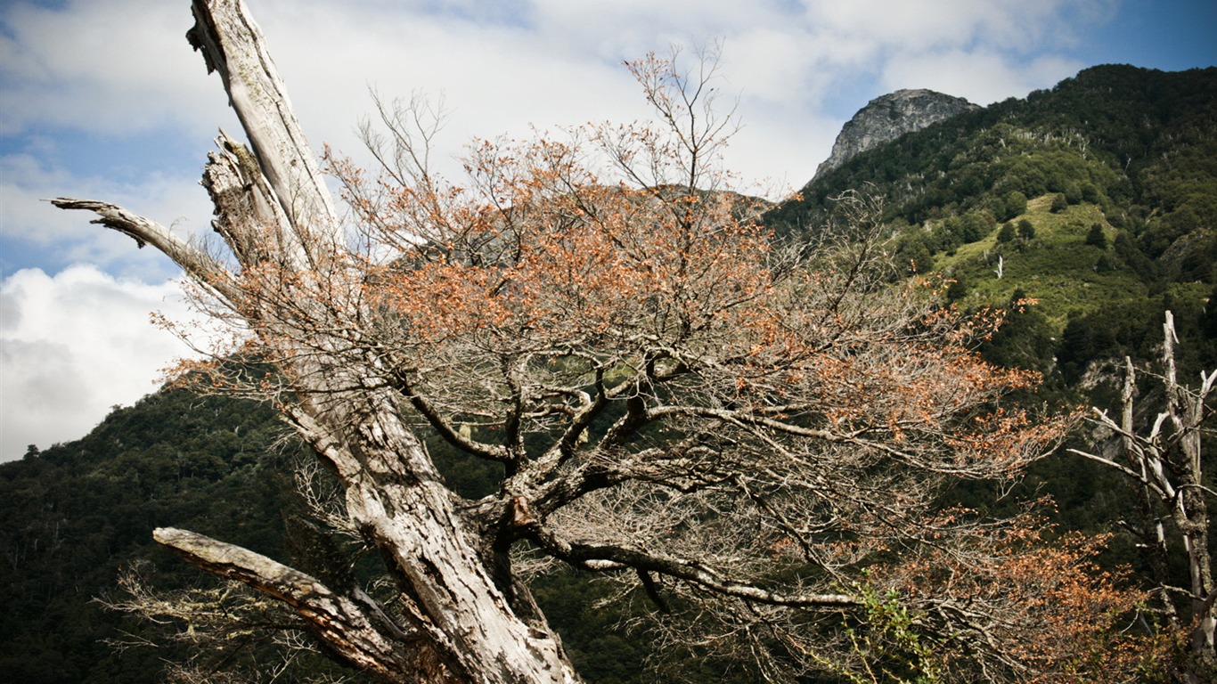 Patagonia 自然風光壁紙 #20 - 1366x768