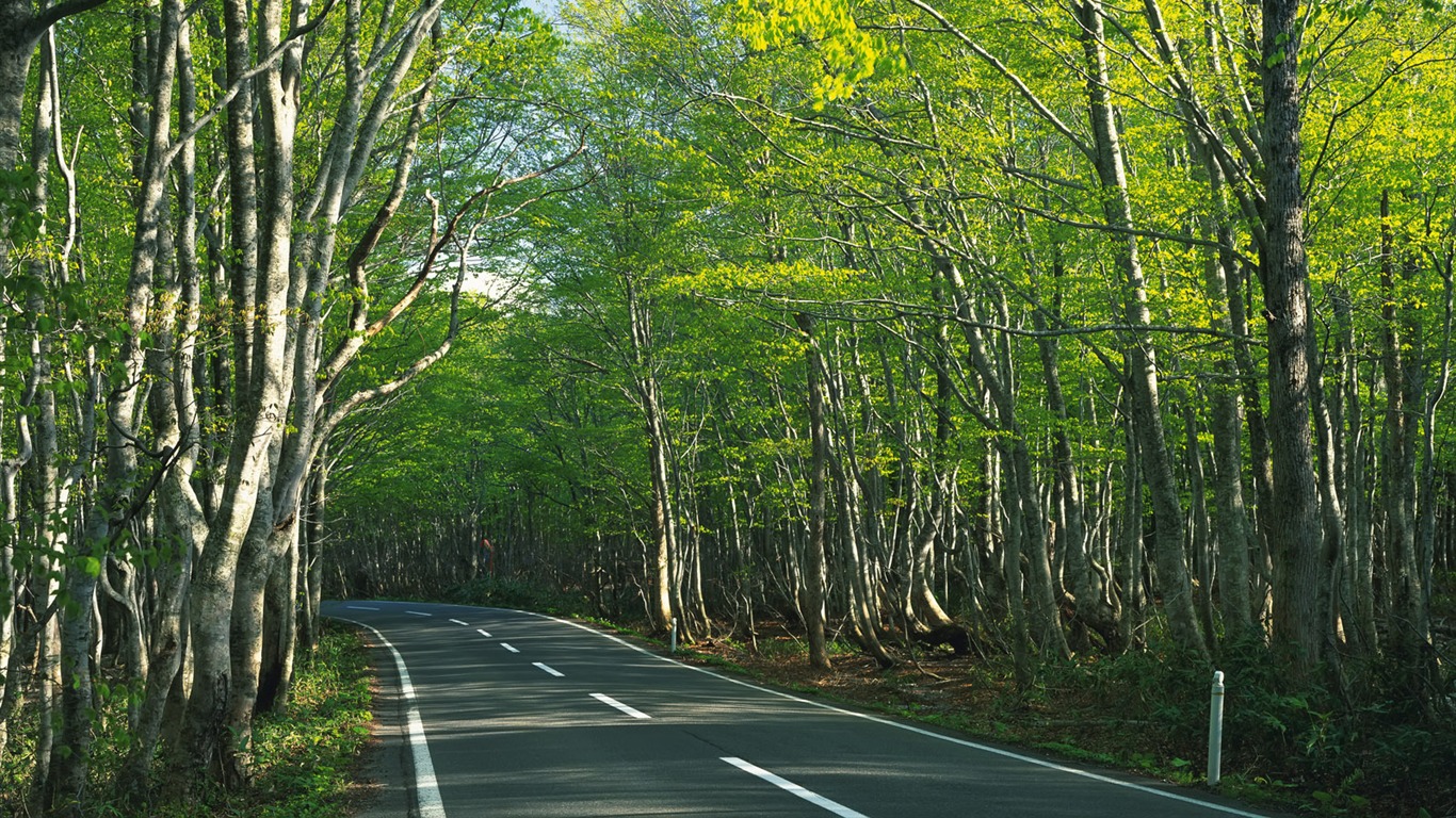 道路寫真壁紙 #20 - 1366x768
