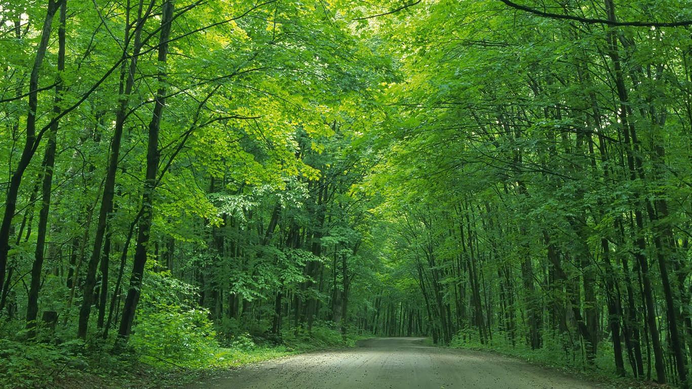 道路寫真壁紙 #26 - 1366x768