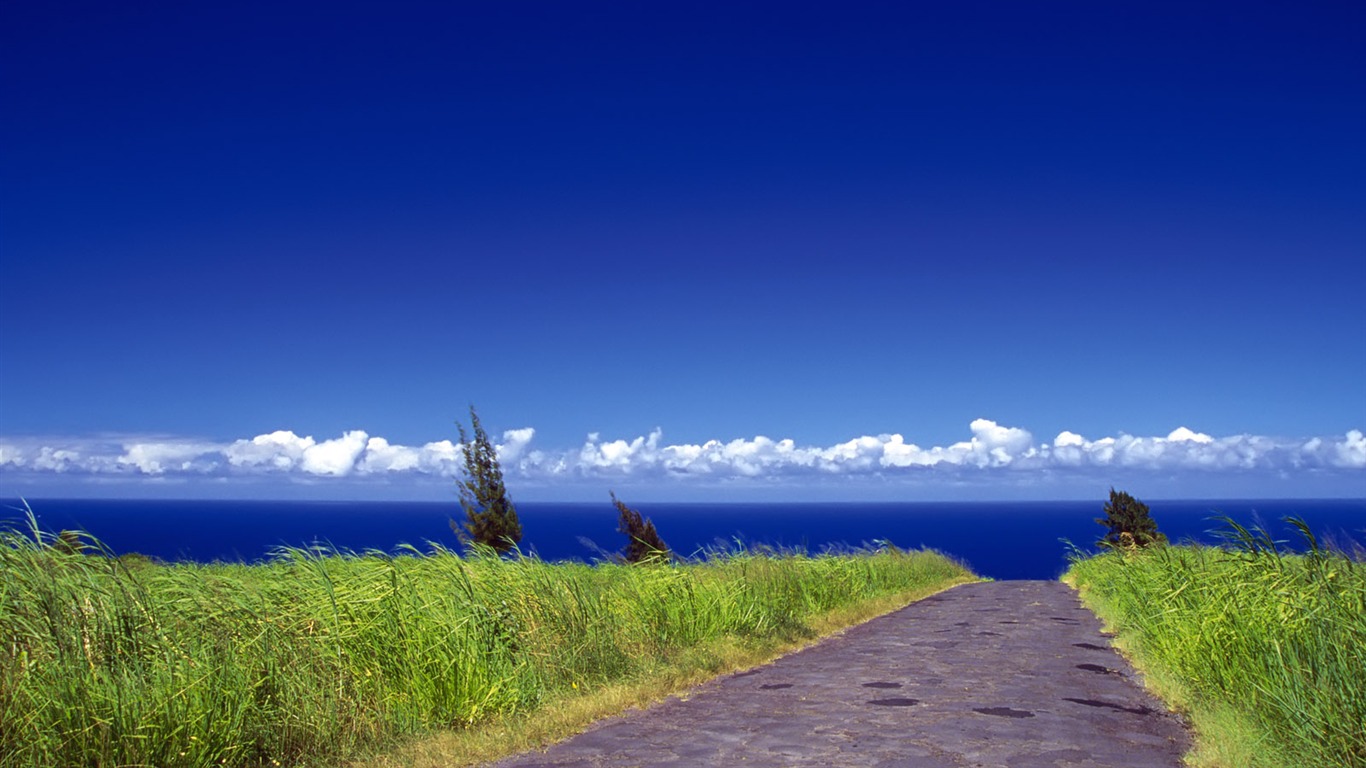 道路寫真壁紙 #30 - 1366x768