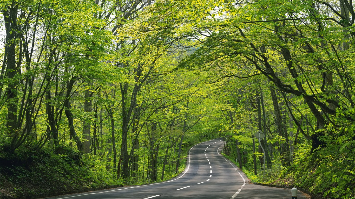 道路写真壁纸33 - 1366x768