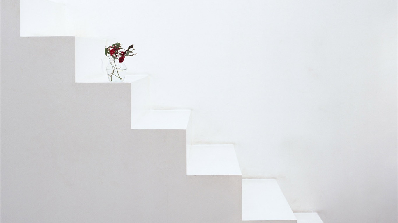Indoor Still Life Wallpaper Album (5) #17 - 1366x768