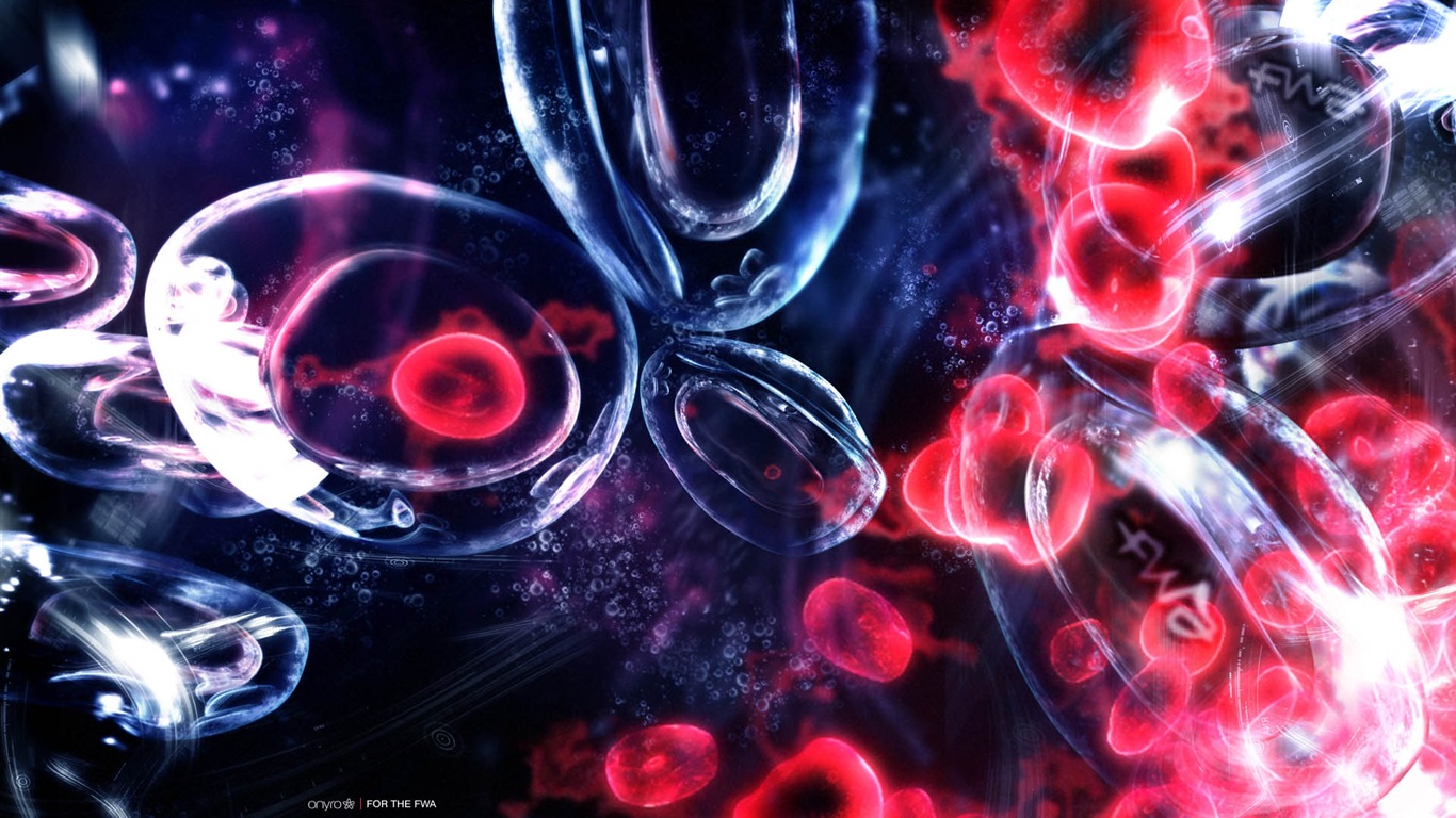 寬屏FWA專輯壁紙(八) #15 - 1366x768