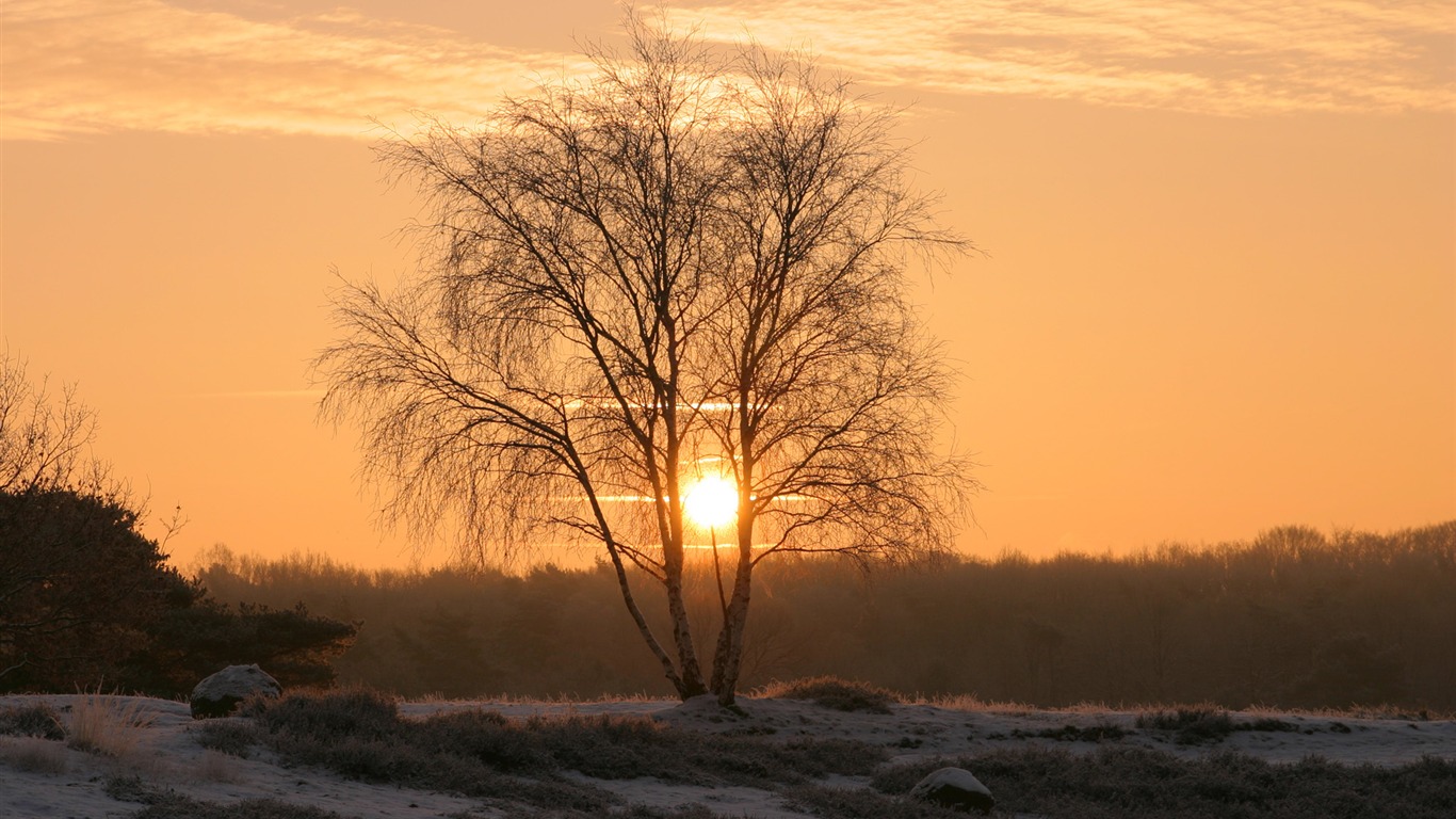 Glow du coucher du soleil HD Wallpaper exquise (1) #16 - 1366x768