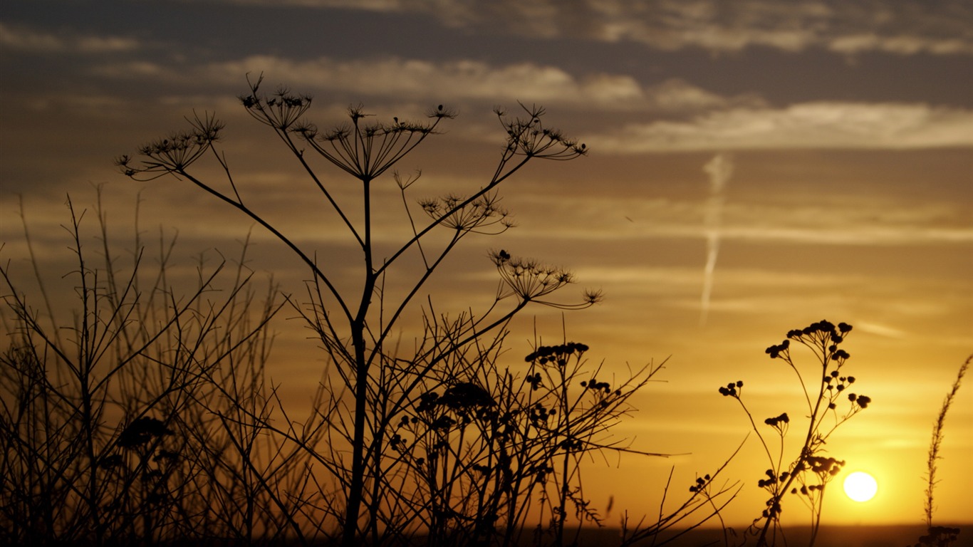 Glow du coucher du soleil HD Wallpaper exquise (1) #30 - 1366x768