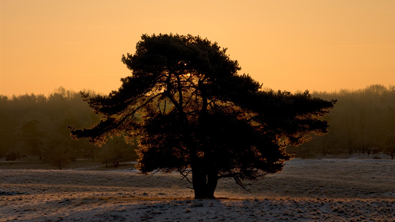 Glow du coucher du soleil HD Wallpaper exquise (1) #36 - 1366x768