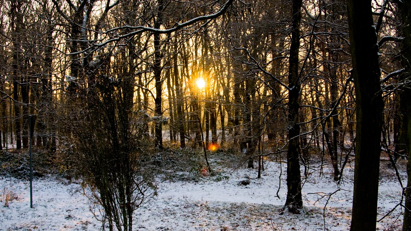 záře slunce HD skvělé tapety (1) #37 - 1366x768