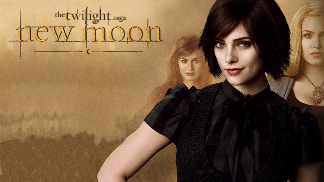 Saga Twilight: New Moon wallpaper album (1) #7 - 1366x768