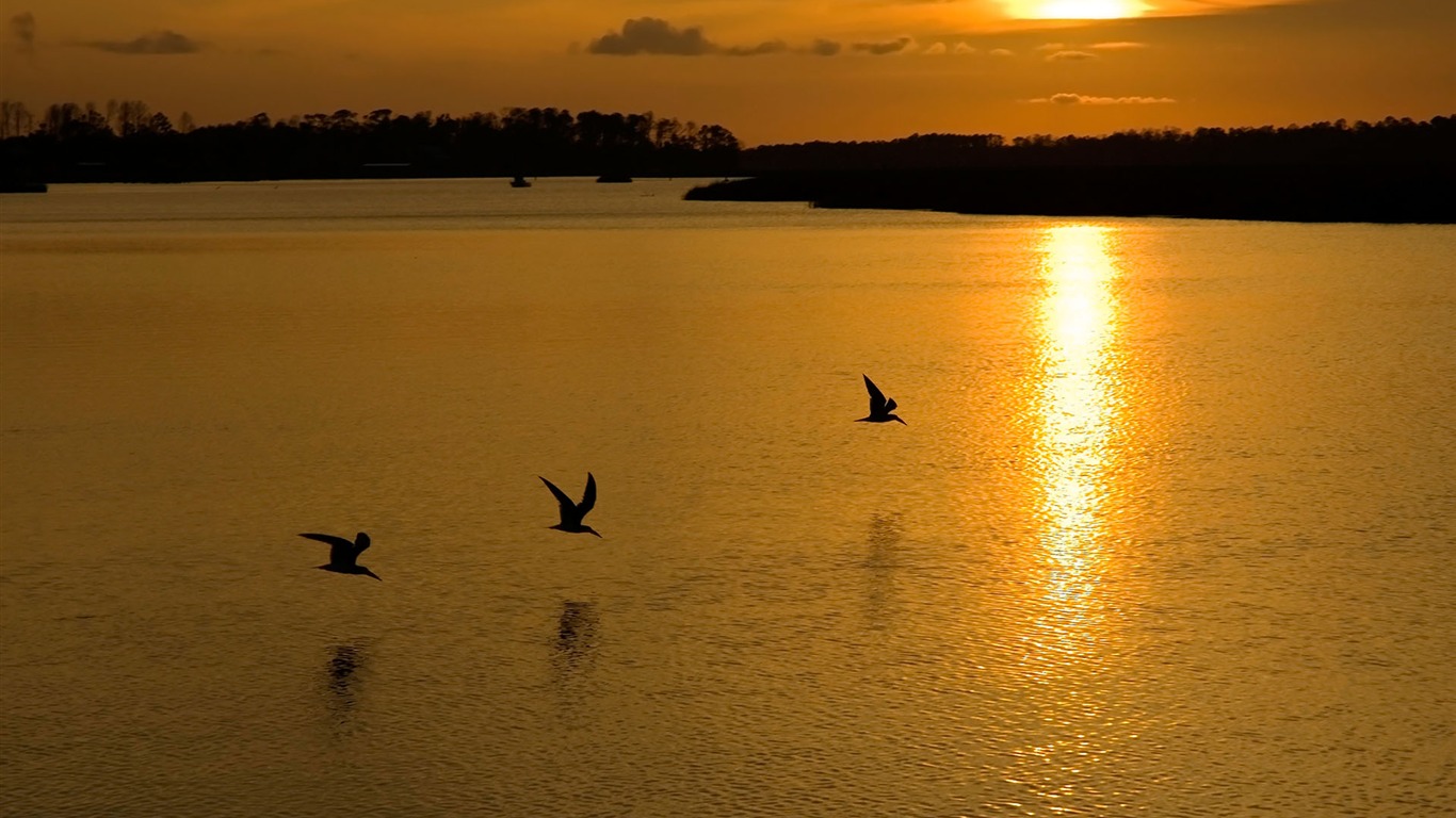 朝霞晚霞 高清精美壁紙(二) #25 - 1366x768
