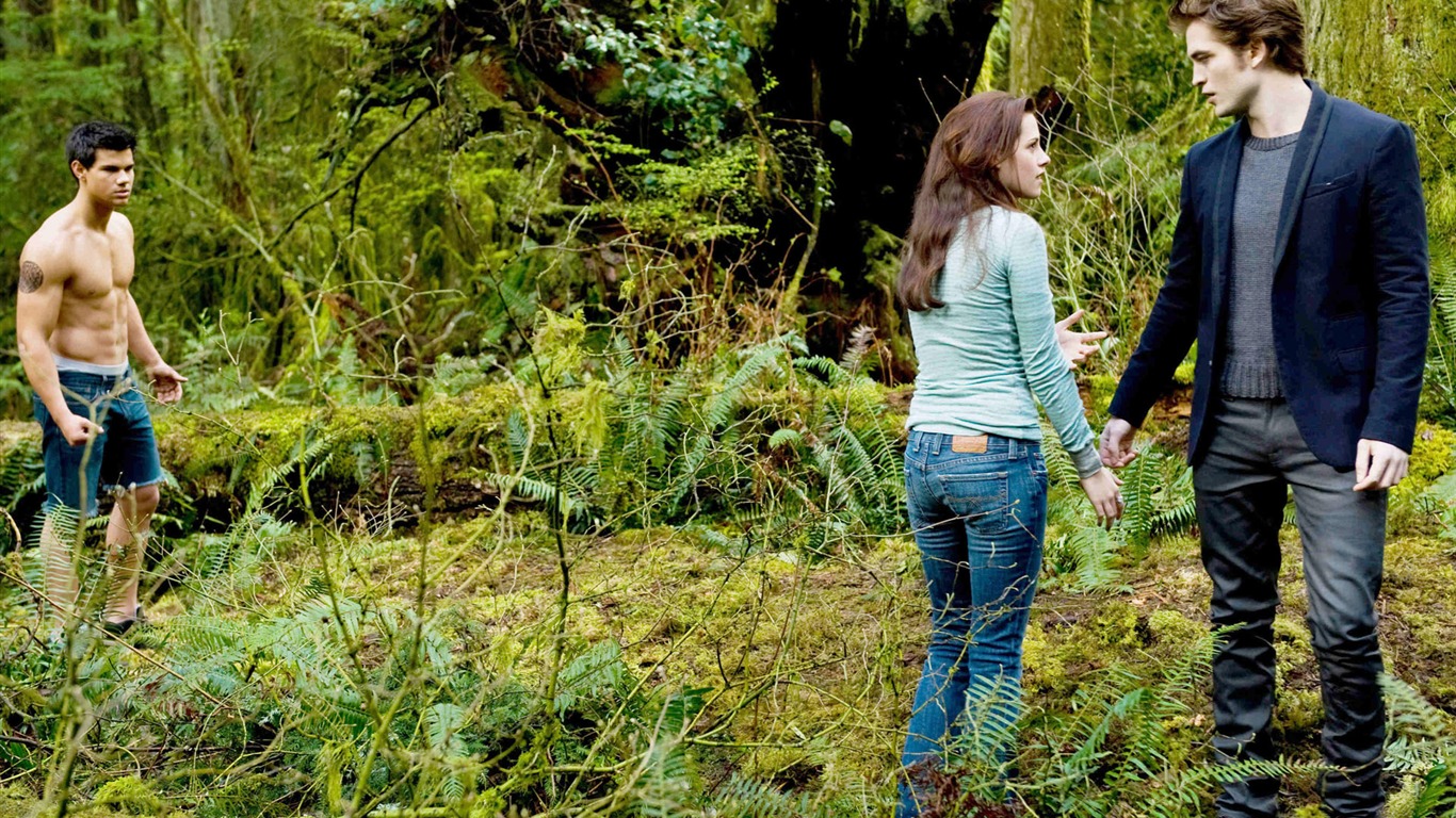 The Twilight Saga: New Moon Wallpaper Album (2) #19 - 1366x768