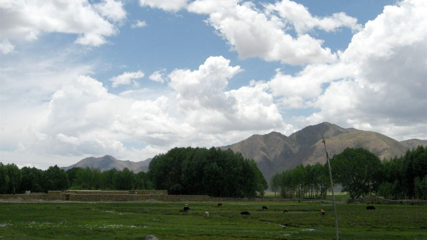 Tibet alba Krajina wallpaper #12 - 1366x768