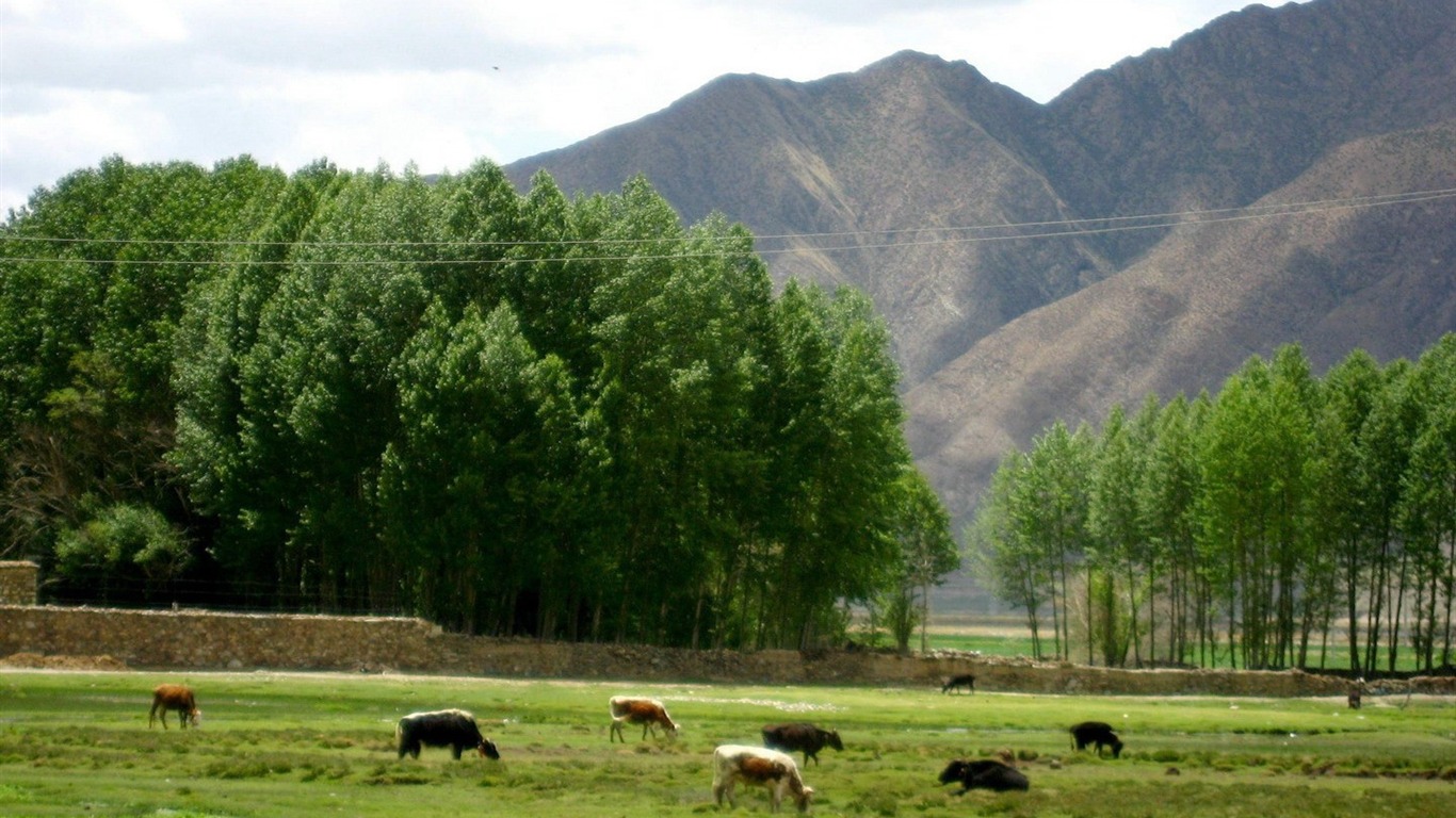 Fond d'écran paysage albums Tibet #13 - 1366x768