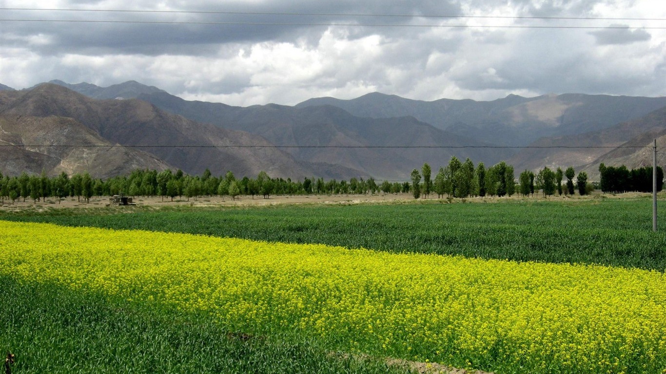 Tibet alba Krajina wallpaper #17 - 1366x768