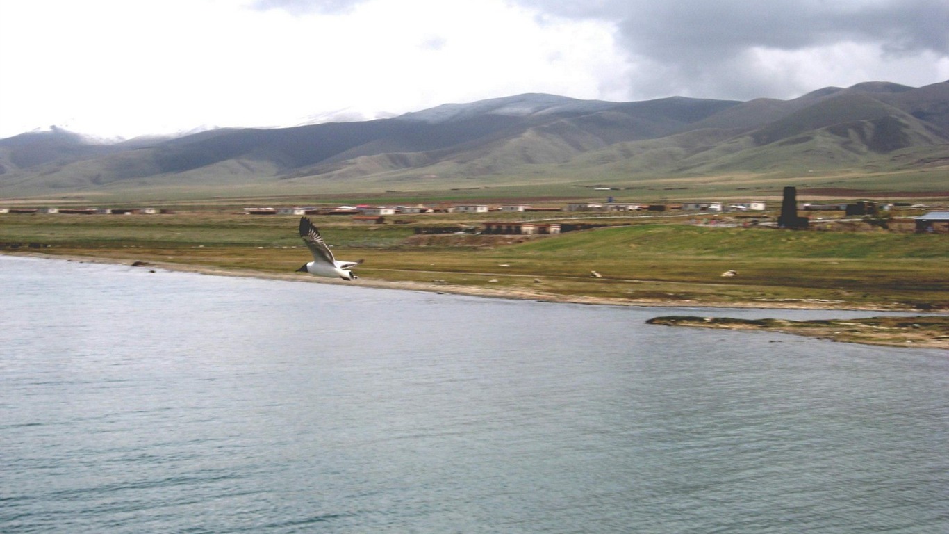 Fond d'écran paysage albums Tibet #19 - 1366x768