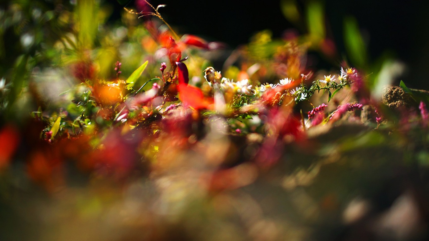 With the beat of natural scenery wallpaper #34 - 1366x768
