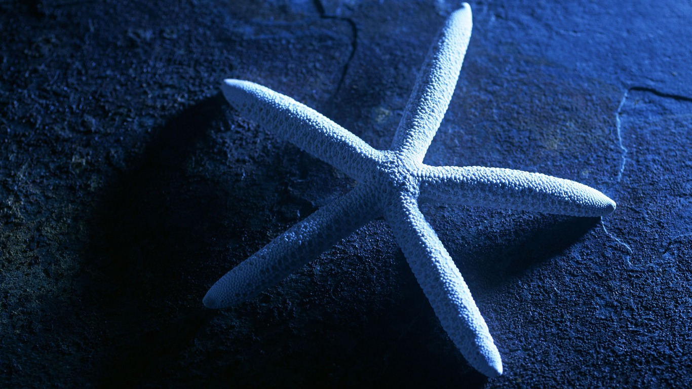 Roky značka wallpaper album (1) #18 - 1366x768