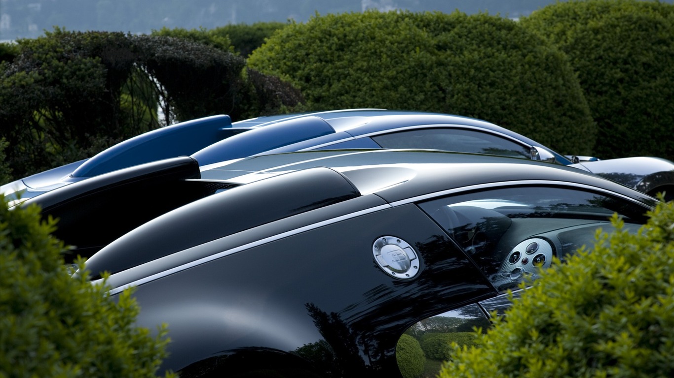 Bugatti Veyron 布加迪威龙 壁纸专辑(二)16 - 1366x768