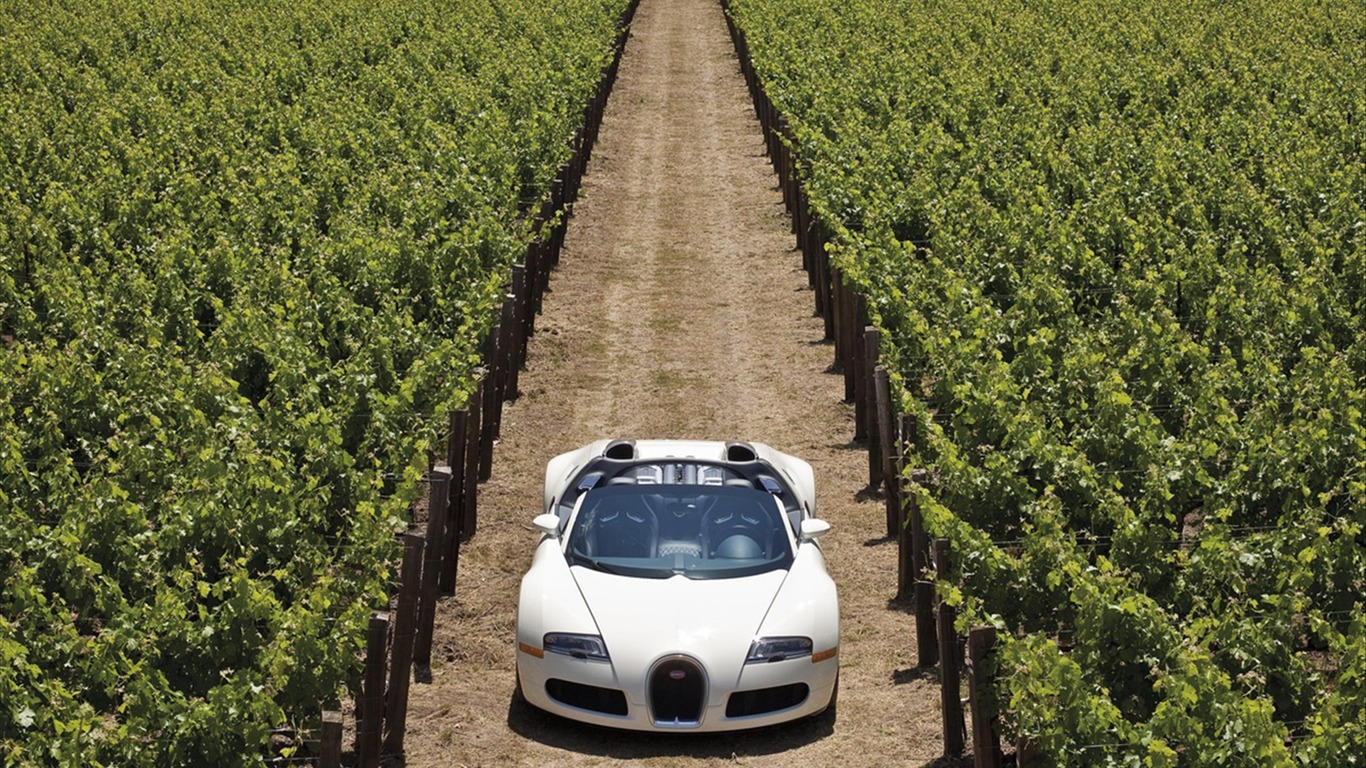 Bugatti Veyron Wallpaper Album (3) #3 - 1366x768