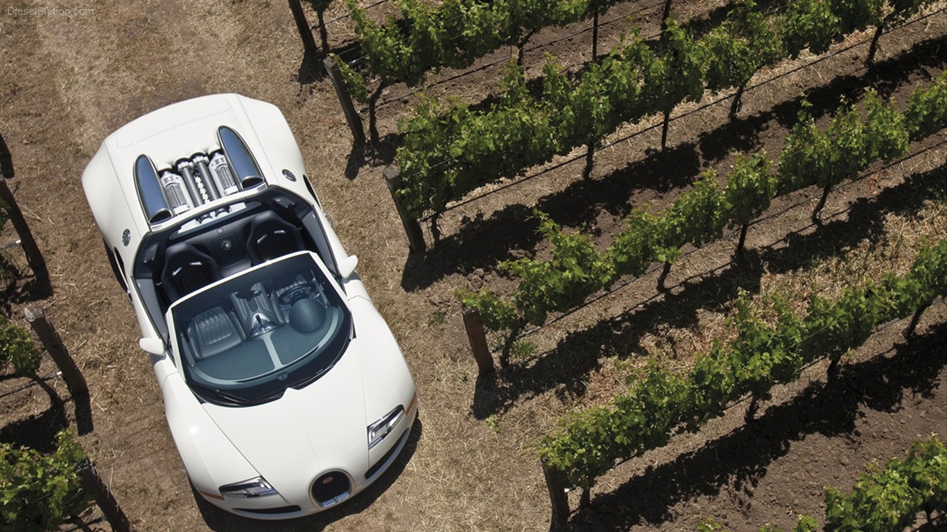 Album Bugatti Veyron Fond d'écran (3) #4 - 1366x768