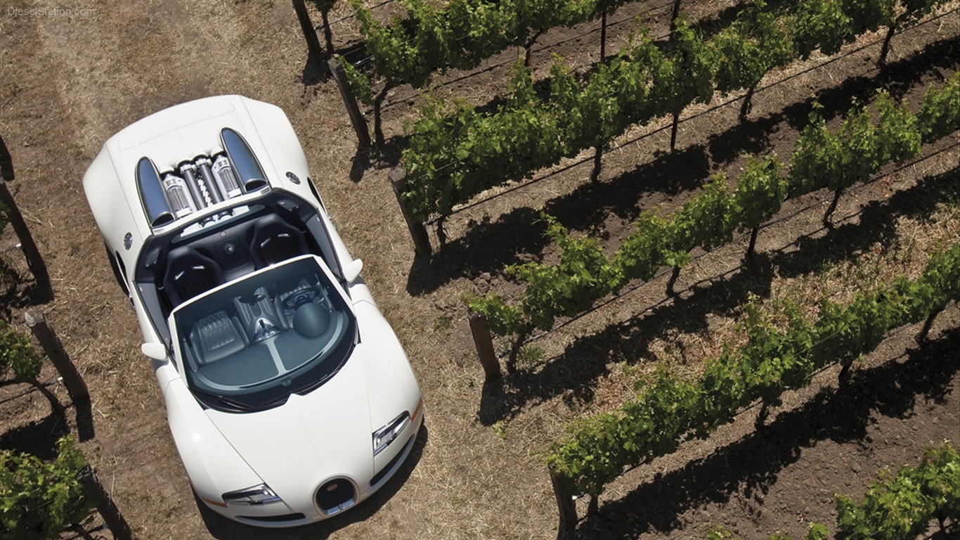 Bugatti Veyron Wallpaper Album (3) #4 - 1366x768