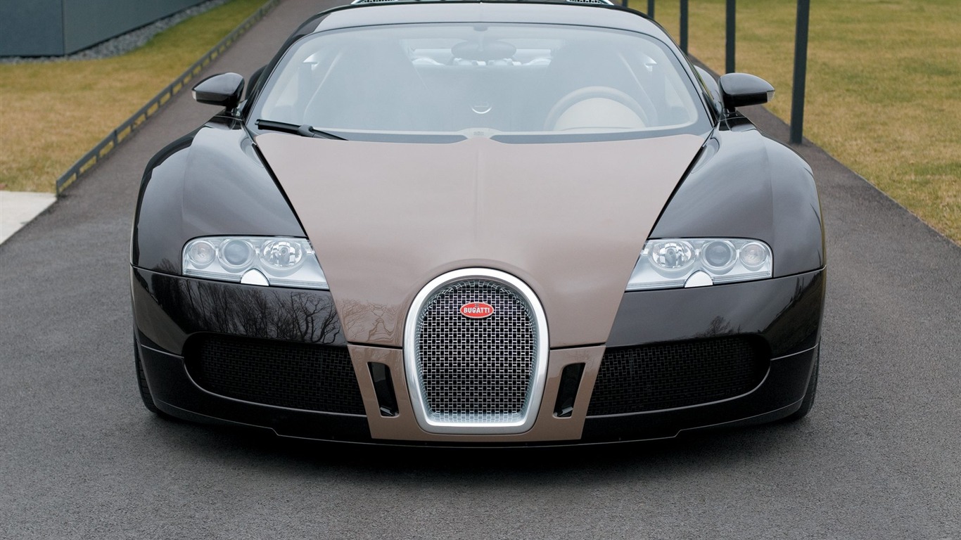 Bugatti Veyron Wallpaper Album (3) #8 - 1366x768