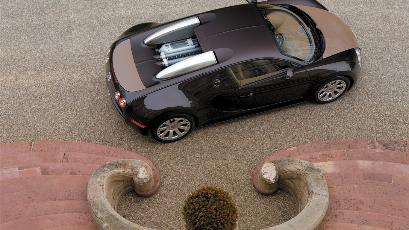 Bugatti Veyron Fondos de disco (3) #11 - 1366x768